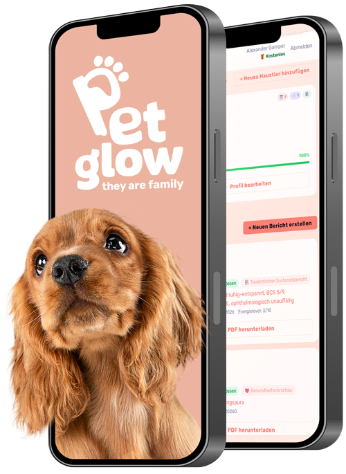 PetGlow Mobile App Vorschau